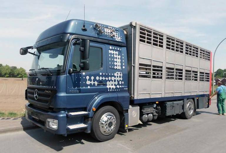 Транспортировка щенка автотранспортом из Нягани в Кемерово